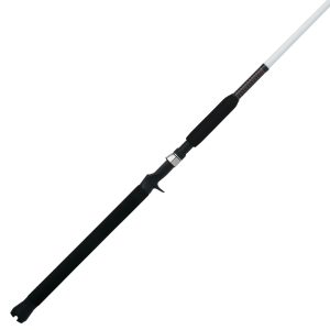 Catfish Spinning Rod